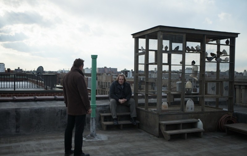 Прогулка среди могил (2014)