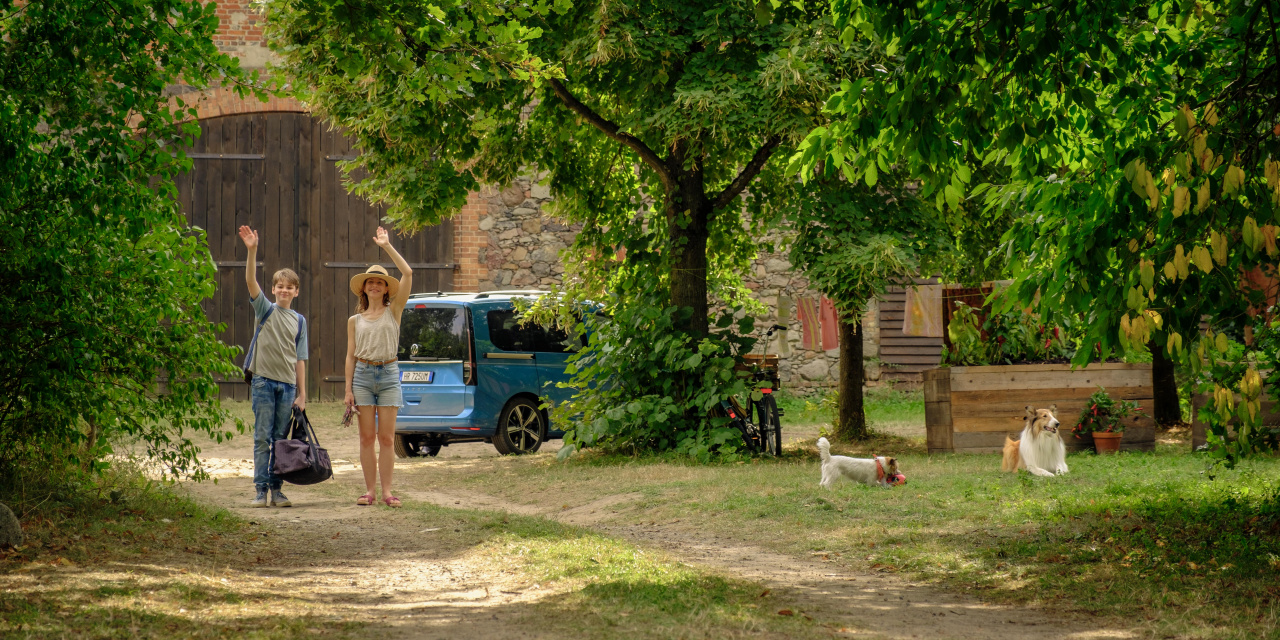 Лесси — лохматый детектив (2023)
