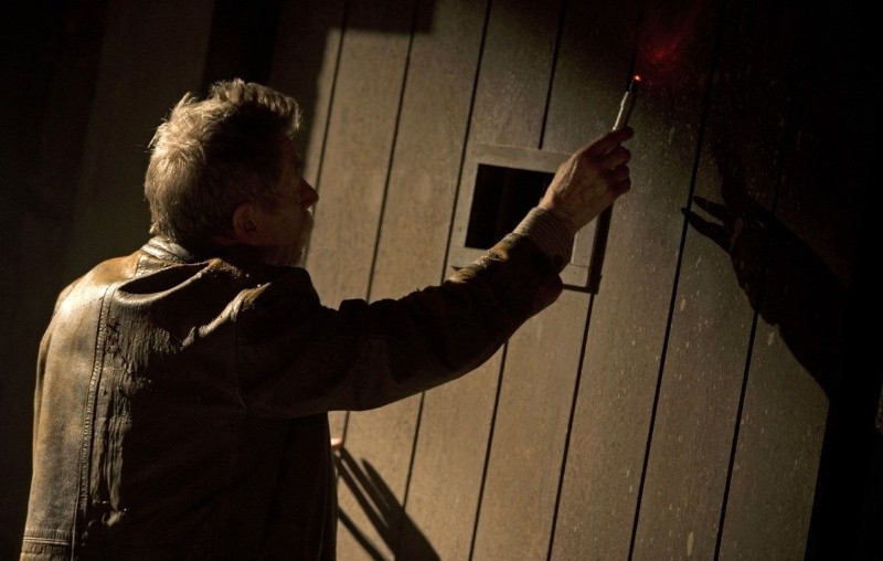 День Доктора (2013)