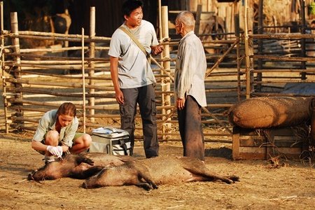 Ключ Саламандры (2010)