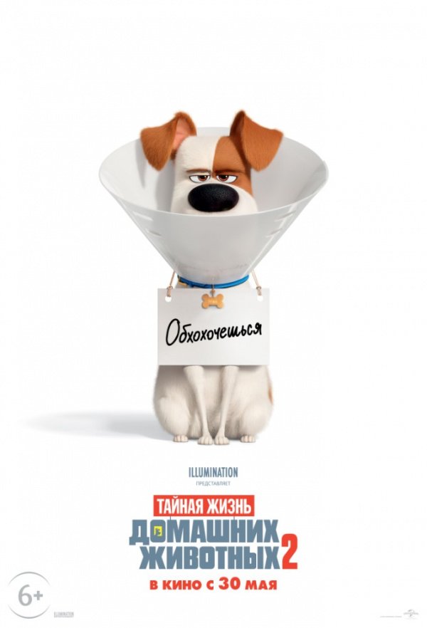 Тайная жизнь домашних животных 2 (2019)