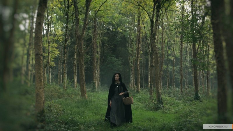 Обитатели (2017)