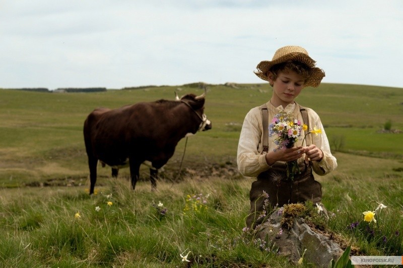Приключения Реми (2018)