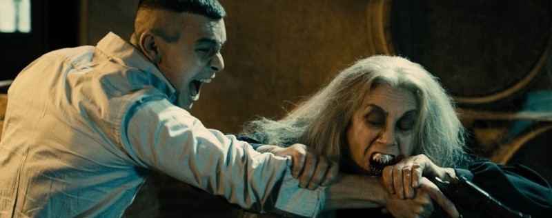 Ведьмы из Сугаррамурди (2013)