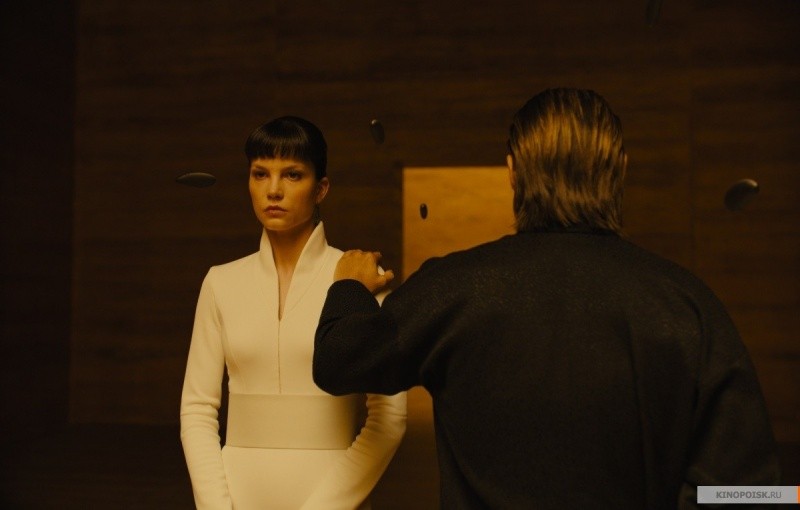 Бегущий по лезвию 2049 (2017)