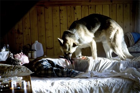 Носители (2009)