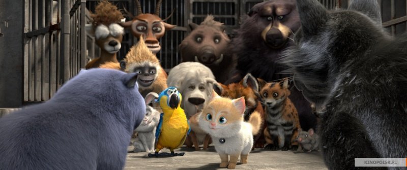 Большой кошачий побег (2018)