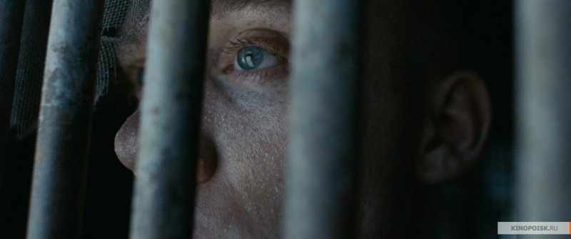 Бои без правил (2017)