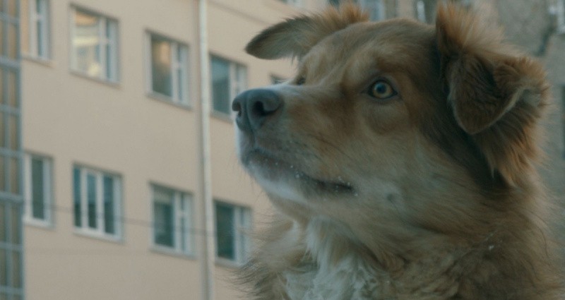 Страна хороших деточек (2013)