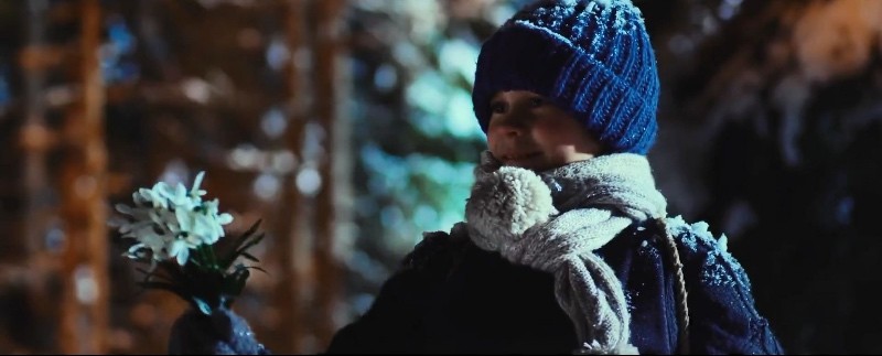 12 месяцев. Новая сказка (2014)