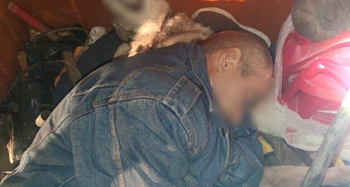 В Лангепасе (ХМАО) изнасиловали собаку и отрезали ей половые органы. ВИДЕО