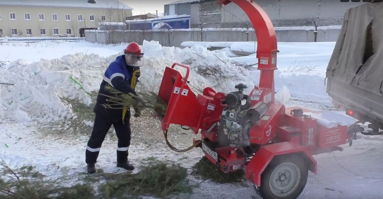 В Нижневартовске отказались от экологической утилизации новогодних елок