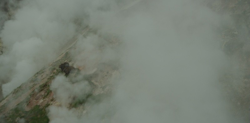 Земля медведей (2013)