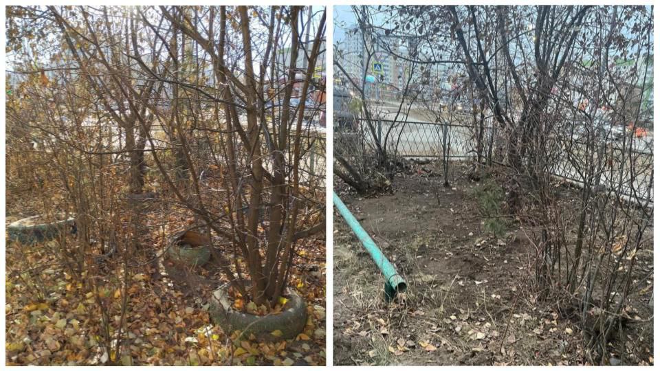 Жители Нижневартовска добились демонтажа овощного ларька