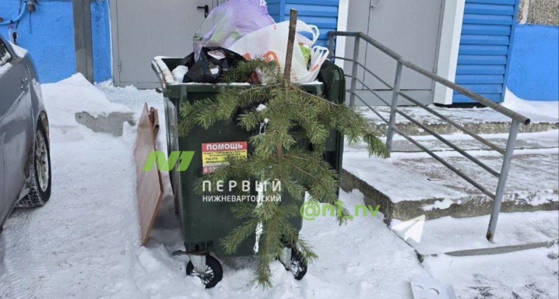 Жителям Нижневартовска объяснили, как правильно выбрасывать новогодние елки