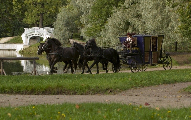 Три мушкетера (2013)