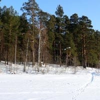 Здесь творчество кружит меж сосен вековых Здесь творчество кружит меж сосен вековых