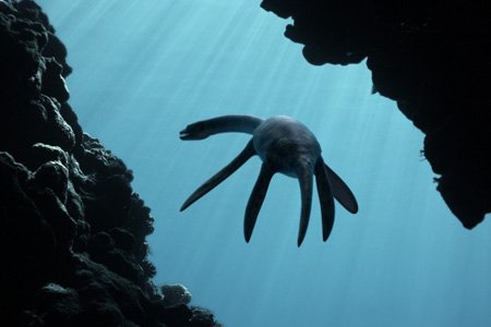 Морские динозавры 3D: Путешествие в доисторический мир (2010)
