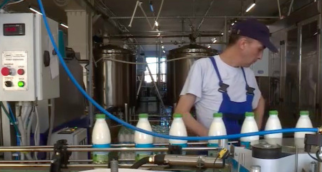 В Нижневартовске возрождают производство известных молочных продуктов «Белая корова»