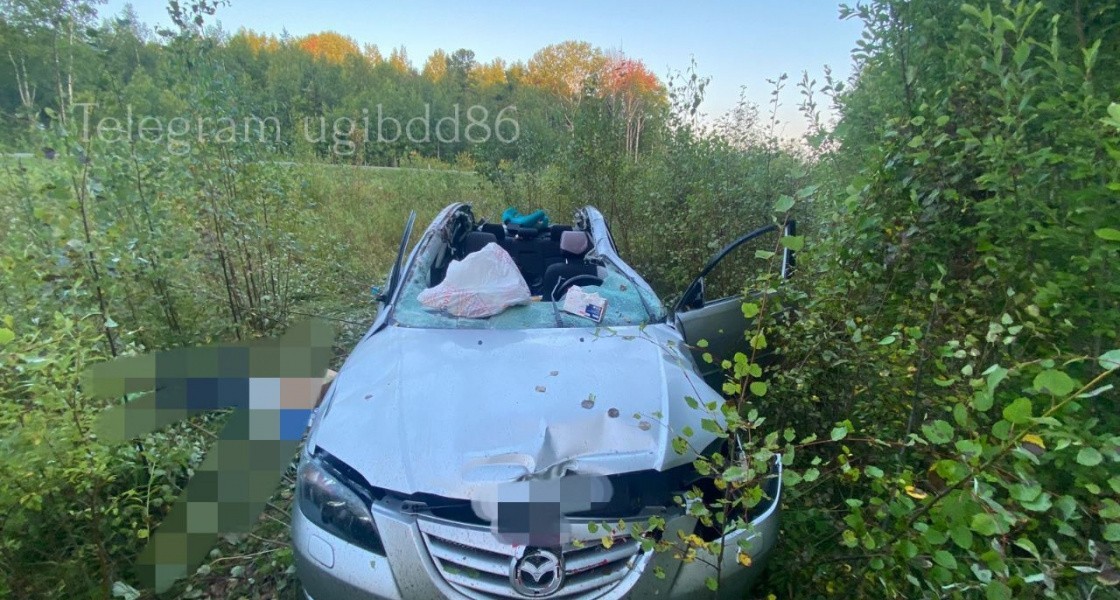 В ХМАО двое человек погибли на трассе после столкновения с лосем
