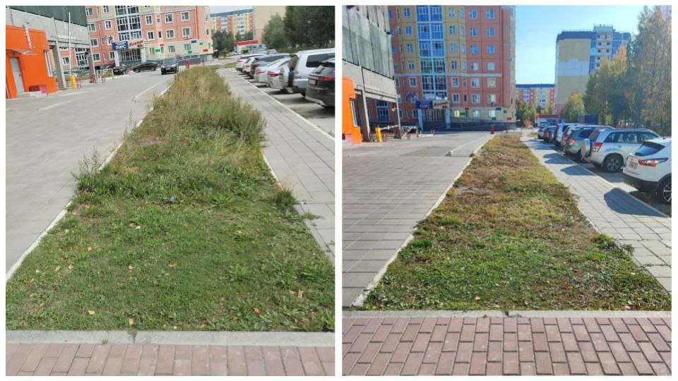 Власти Нижневартовска заставили собственника убрать павильон, в котором готовили легендарные чебуреки у вокзала