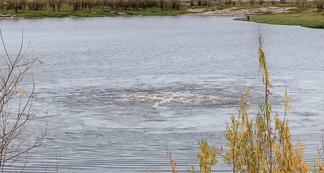 Рядом с Нижневартовском закипел водоем