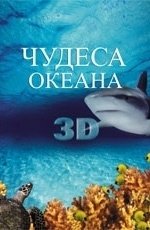 Чудеса океана (2003)