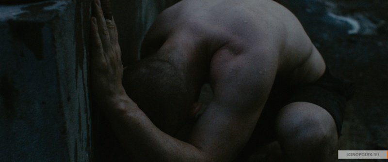Бои без правил (2017)