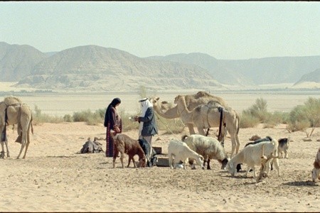 Бедуин (2011)