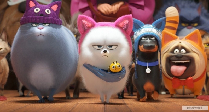 Тайная жизнь домашних животных 2 (2019)