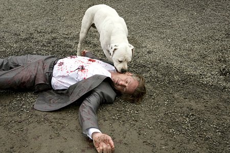 Однажды в Голливуде (2008)
