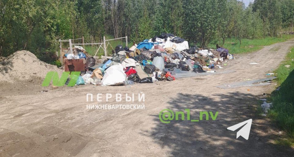 В дачном поселке Нижневартовска год не вывозят мусор с контейнерной площадки