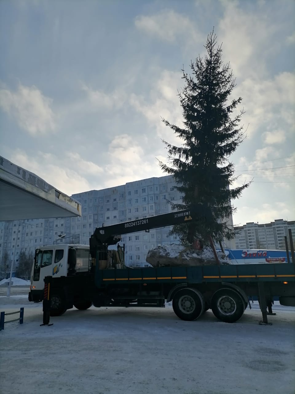 В Нижневартовске пересадили 10-метровую ель