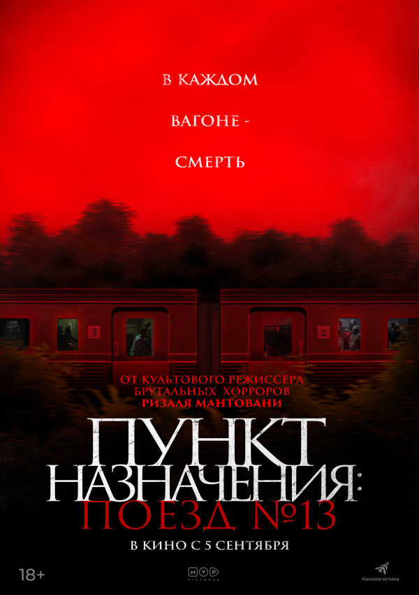 Пункт назначения: Поезд №13 (2024)