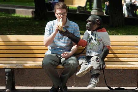 Ирония любви (2010)