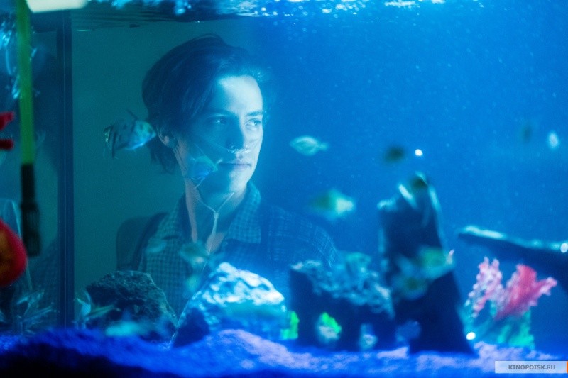 В метре друг от друга (2019)
