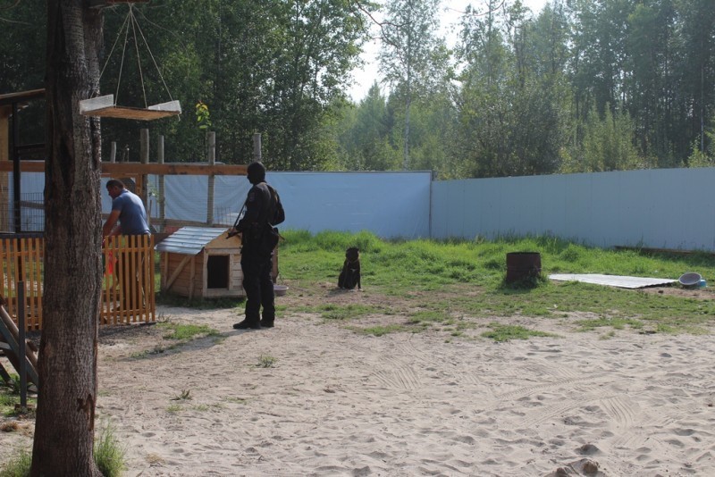 В Нижневартовске преступная группировка воровала дизельное топливо