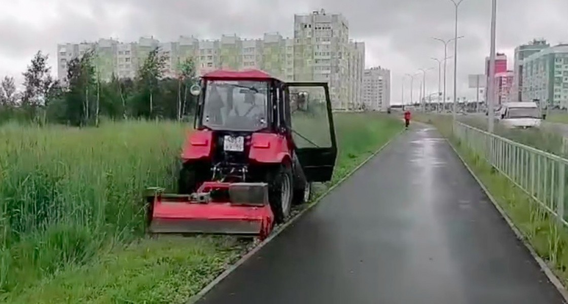 В Нижневартовске по-новому борются с разрастающейся на газонах зеленью