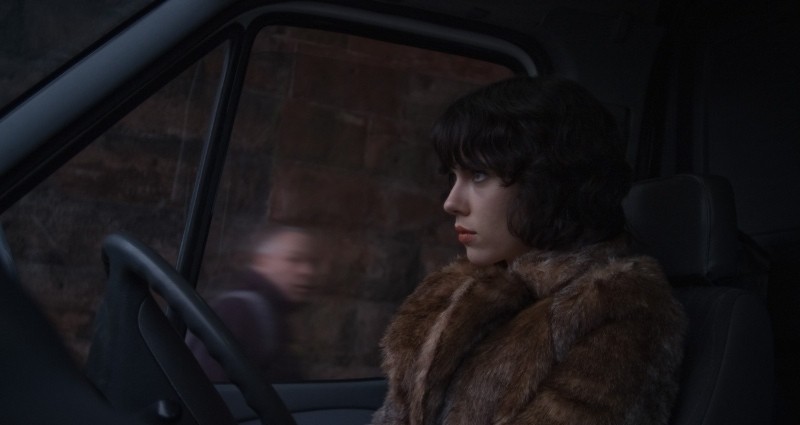 Побудь в моей шкуре (2013)