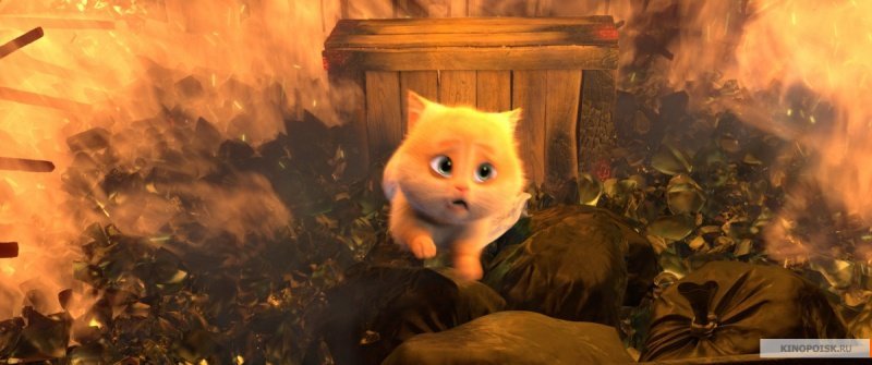 Большой кошачий побег (2018)
