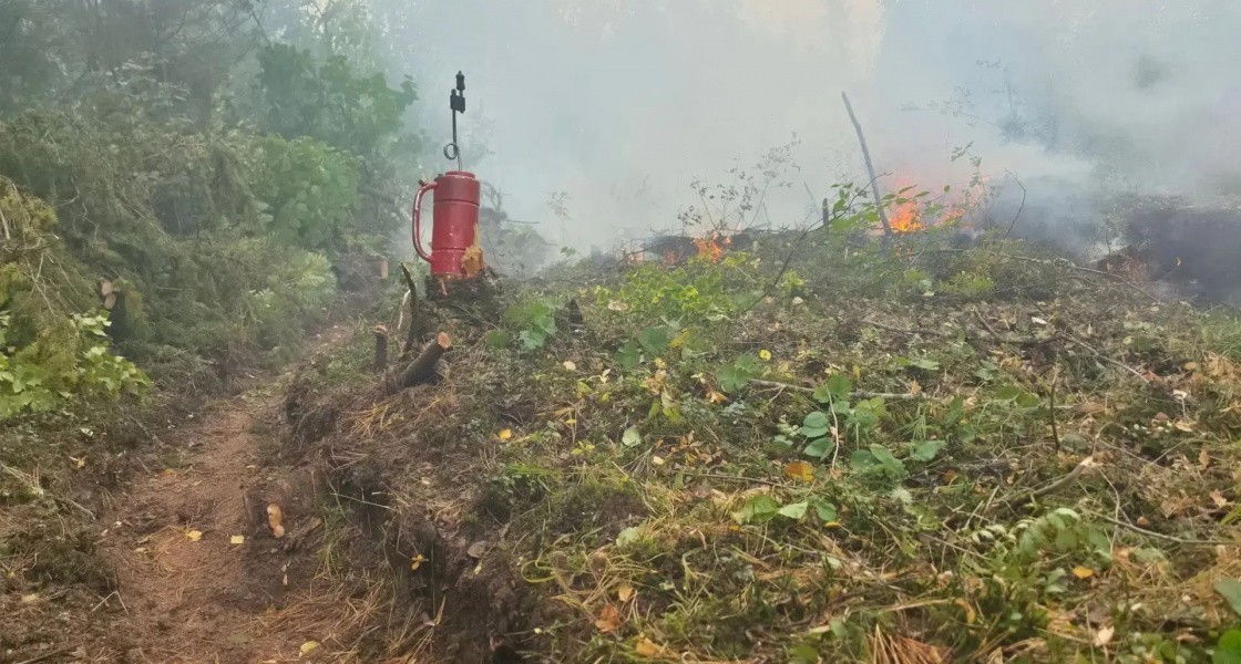 В Нижневартовском районе снова горит лес