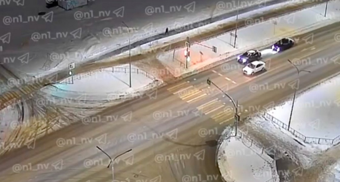 В Нижневартовске далматинец попал под колеса автомобиля, спасаясь от жестокой хозяйки