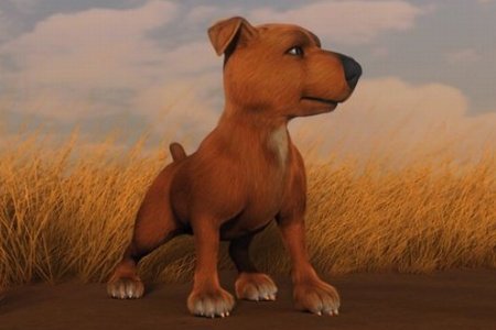 Джок (2011)