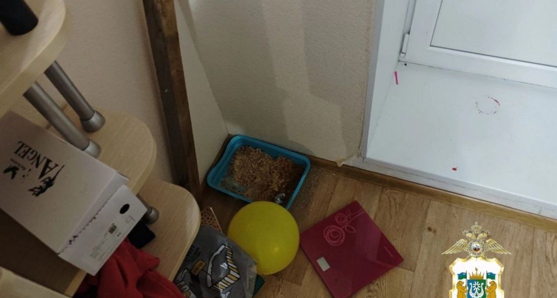 Житель ХМАО использовал кота, чтобы спрятать наркотики