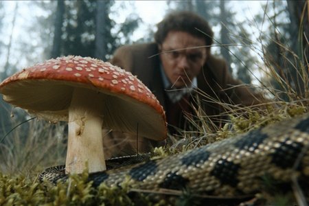 Поколение ПИ (2011)