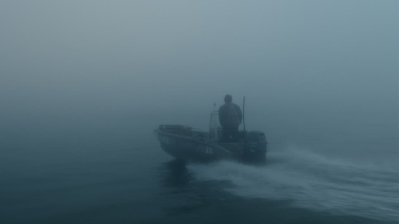 Kitoboy (2020)