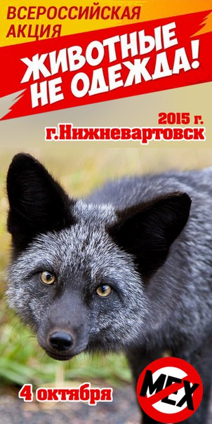Всероссийская акция «Животные не одежда» Всероссийская акция «Животные не одежда»