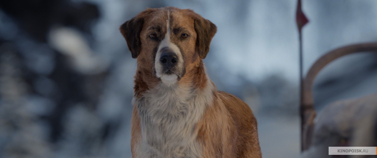 Зов предков (2019)