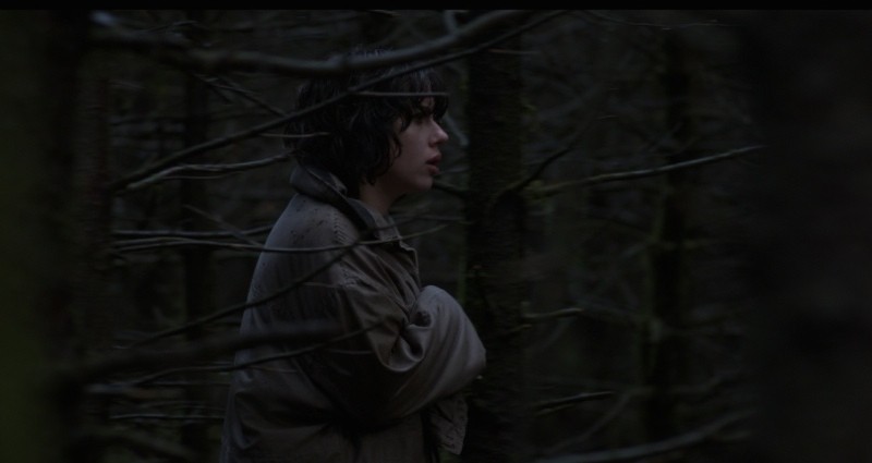 Побудь в моей шкуре (2013)