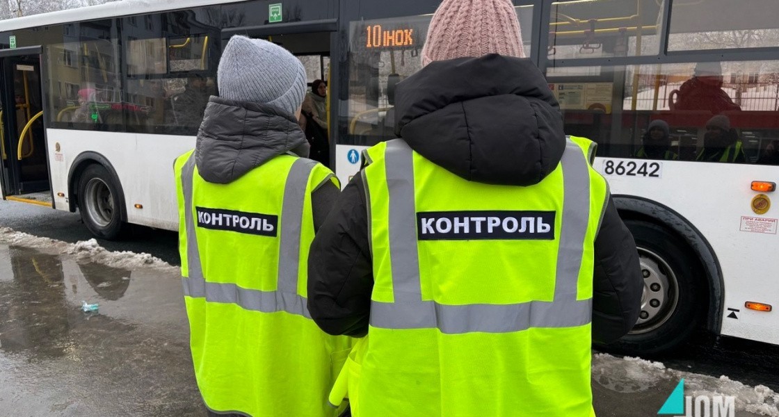 В Нижневартовске выросло количество зайцев